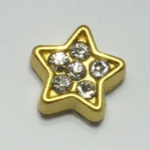 Charm ster strass goud